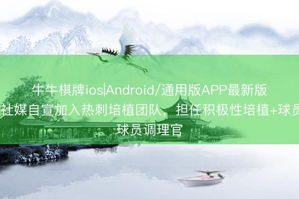 牛牛棋牌ios|Android/通用版APP最新版 本特利社媒自宣加入热刺培植团队，担任积极性培植+球员调理官