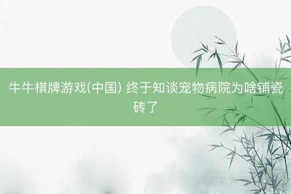 牛牛棋牌游戏(中国) 终于知谈宠物病院为啥铺瓷砖了