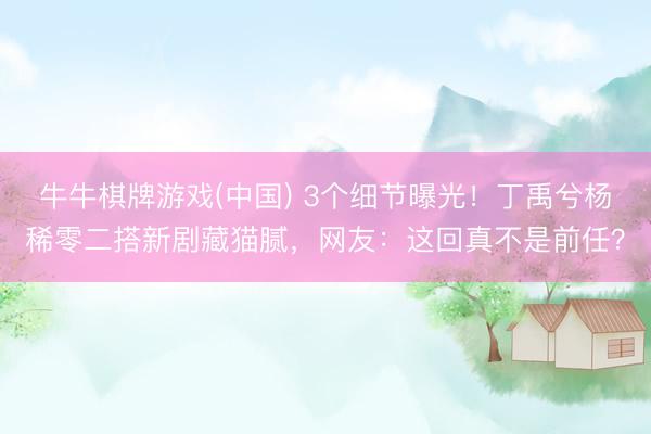 牛牛棋牌游戏(中国) 3个细节曝光！丁禹兮杨稀零二搭新剧藏猫腻，网友：这回真不是前任？